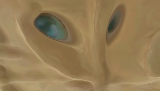 smzhqj1.jpg